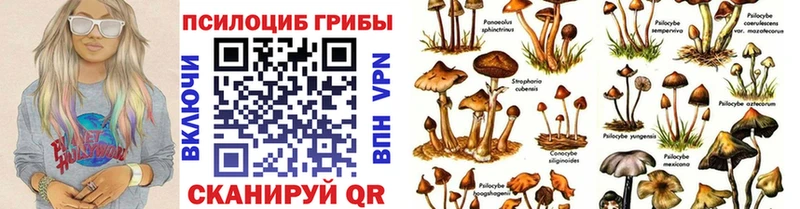 сколько стоит  OMG ссылки  Галлюциногенные грибы MAGIC MUSHROOMS  Обоянь 